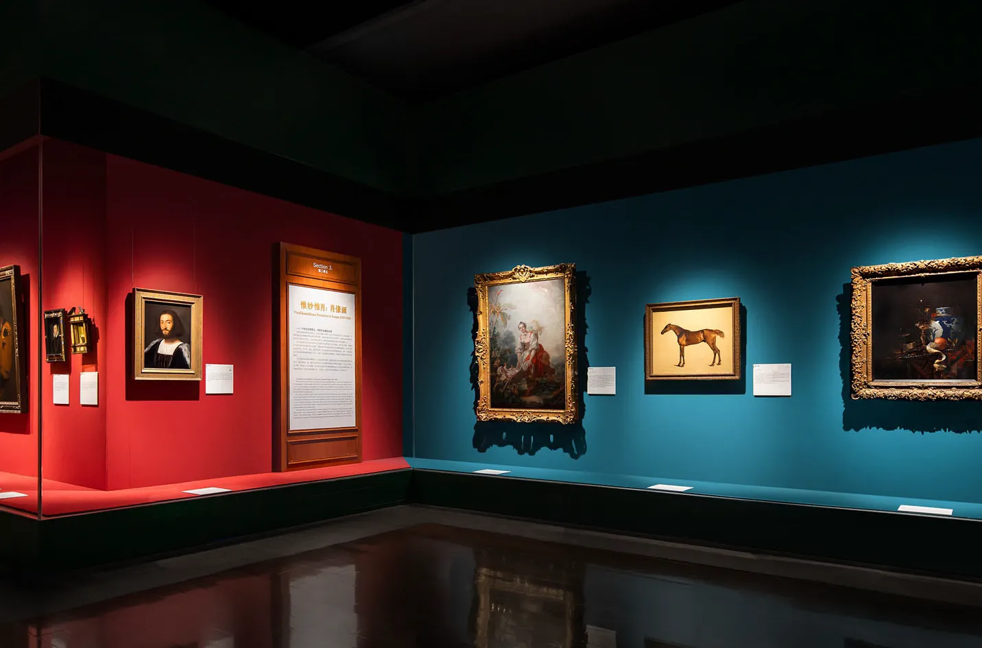 Gallery wall with paintings picked out by track spotlights on red and blue walls