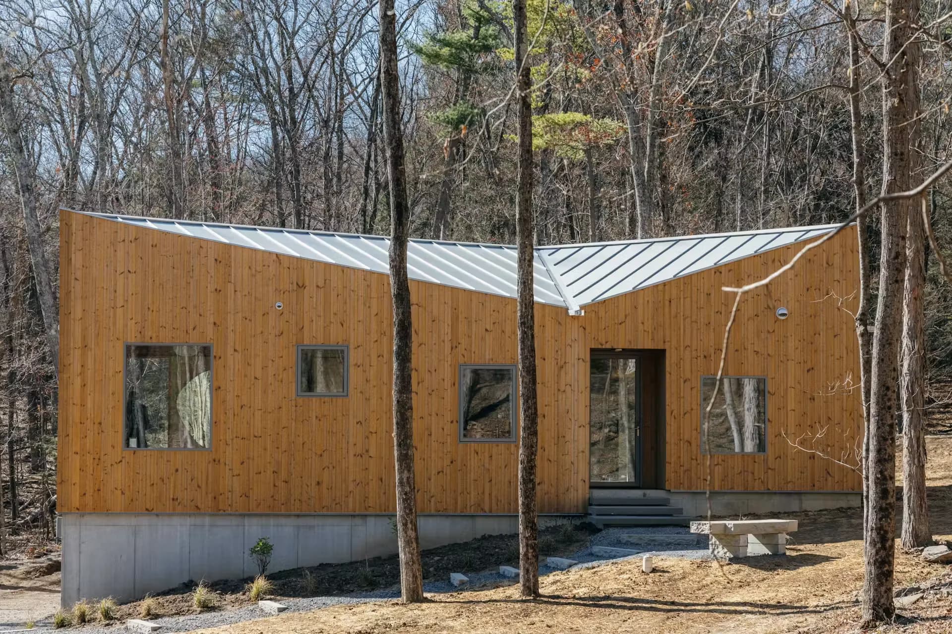 Timber-clad elevation in bare woods under a folded metal roof